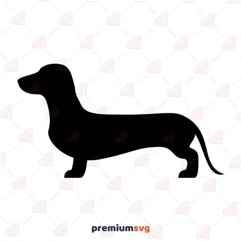 Dachshund Silhouette SVG, Dachshund Vector Instant Download | PremiumSVG