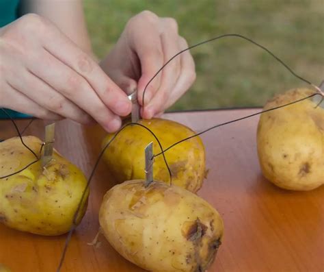 Potato Light Bulb Experiment - Science for Kids