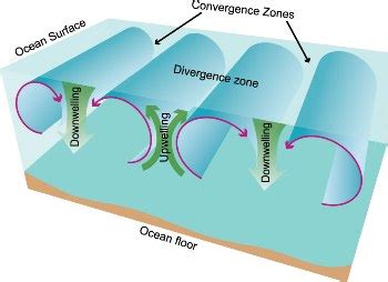 Natural Disaters & Earth Systems: Wednesday: Upwelling & Downwelling