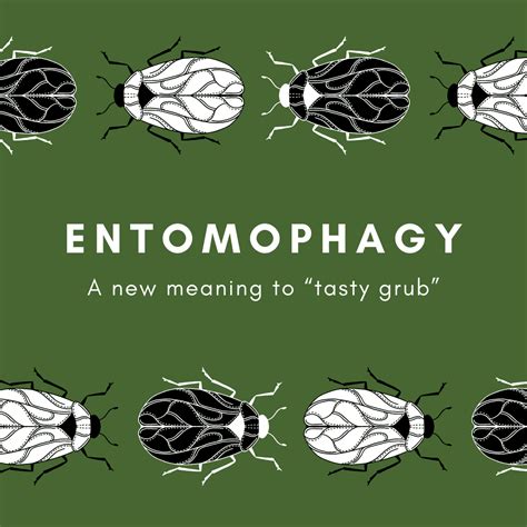 Entomophagy: A New Meaning To “Tasty Grub” — Grounded Grub