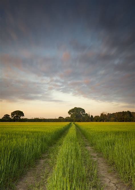 Sunset field | A portrait version from one of the best photo… | Flickr