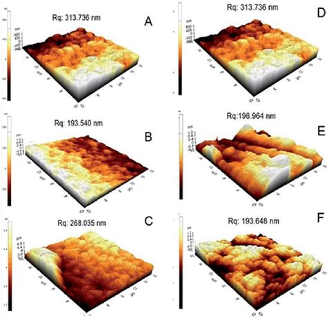 Atomic force microscopy images topography of calcium alginate beads ...