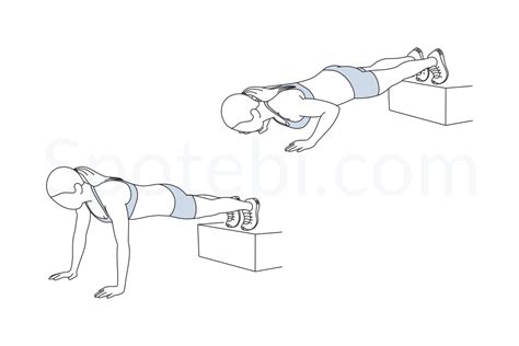 Decline Push Up | Illustrated Exercise Guide