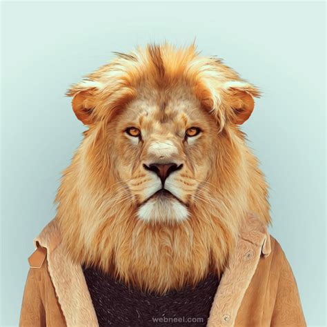 Lion Portrait Photography 7