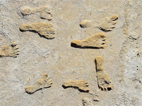 Oldest Human Footprints Found Outside of Africa