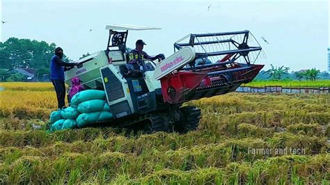 Rice harvester farming machine in wetland | Rice crop harvesting ...