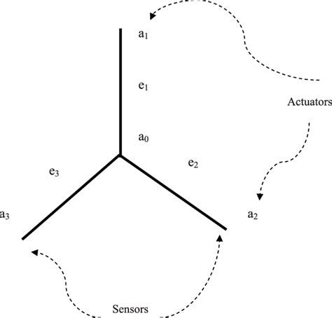 Tree-shaped network. | Download Scientific Diagram