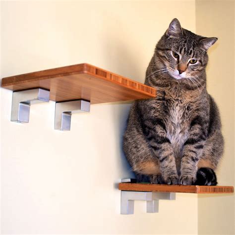 14 Best DIY Cat Shelves To Build for Your Feline Friend