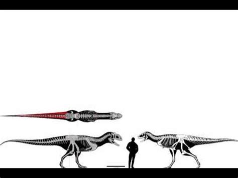 majungasaurus and aucasaurus size comparison - YouTube