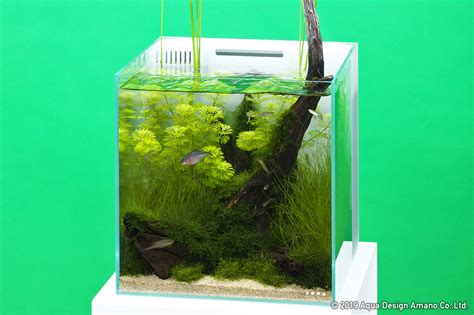 Small Aquarium Aquascape : Jual Aquarium Aquascape Miniature Air Terjun ...