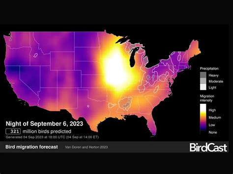 Four Amazing Impacts of This A.I.-Powered Bird Migration Tracker | Smithsonian