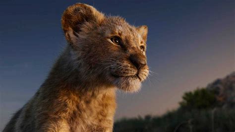 The Lion King (2019) Review | Movie - Empire