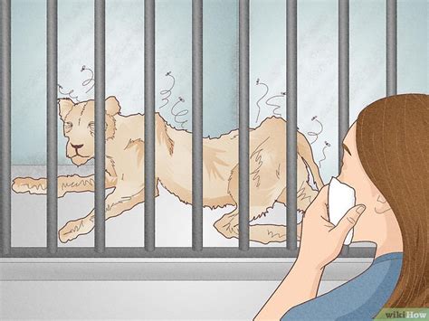 How to Help Animals in Zoos - wikiHow