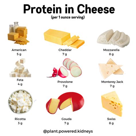 Is Cheese High in Potassium? Protein, Phosphorus, and more!