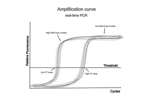 Insights into qPCR: Protocol, Detection Methods, and Analysis – Science ...