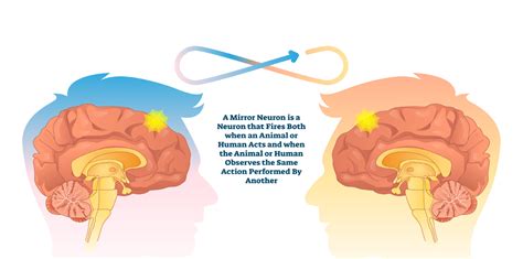 Preventing and managing secondary trauma among supervisees - EMDR Therapy Quarterly