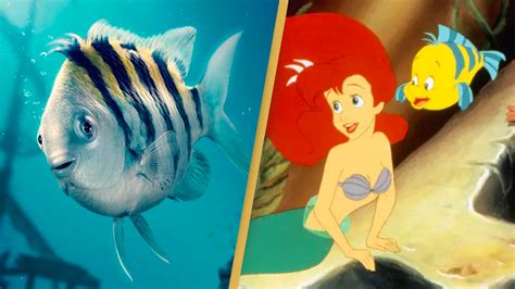 Little Mermaid fans say Disney did Flounder ‘dirty’ in new live action movie | Flipboard