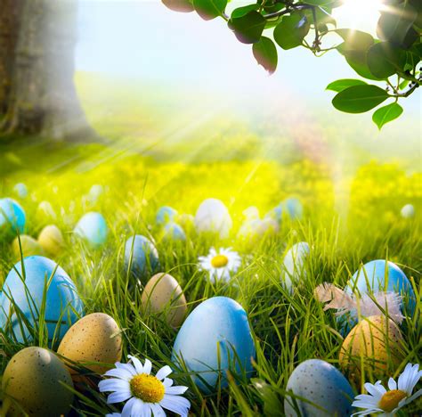 Easter Wallpaper HD download free | Wallpapers, Backgrounds, Images ...