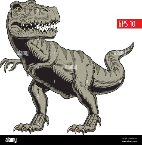 Tyrannosaurus rex or t rex dinosaur isolated on white. Comic style vector illustration Stock ...