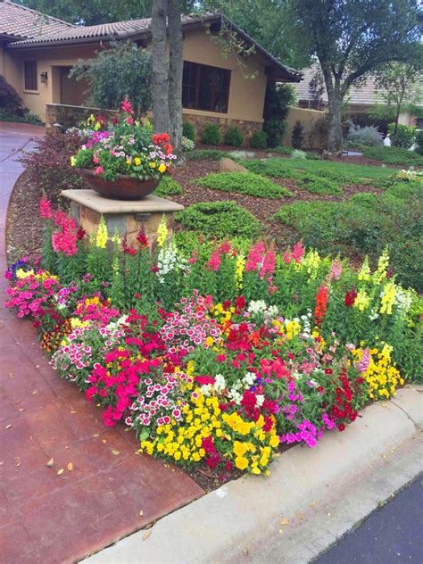 Fall & Winter Flower Beds - Landscape Makeover | Folsom & Sacramento