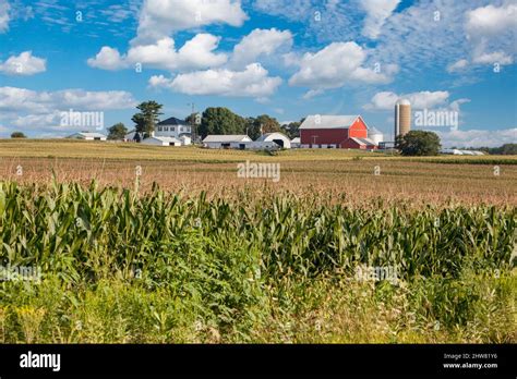 Iowa Farm and Corn Field, Dubuque County, near Worthington Stock Photo ...