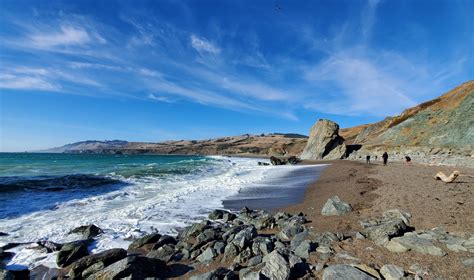 Goat Rock Beach in Jenner, CA - California Beaches