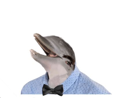 Cursed_Dolphin_Man : r/cursedimages