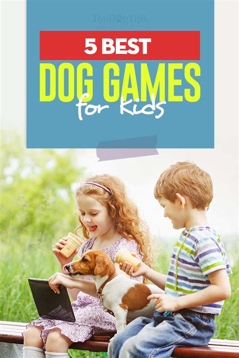 5 Best Dog Games for Kids – Top Dog Tips