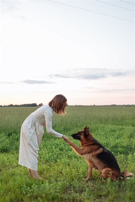 A Woman Training Her German Shepherd · Free Stock Photo