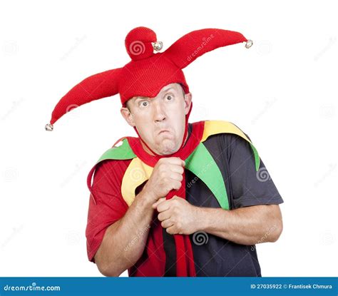 Jester stock photo. Image of comedy, fool, human, joker - 27035922