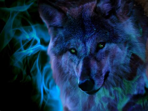 Fire Wolf by XxHighfirexX on DeviantArt