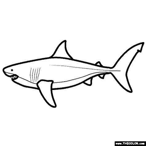 Mosasaurus Vs Megalodon Coloring Pages It fed on such prey as seabirds sharks large fish ...