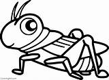 Simple Cute Grasshopper Free Coloring Pages  Cool sketch template