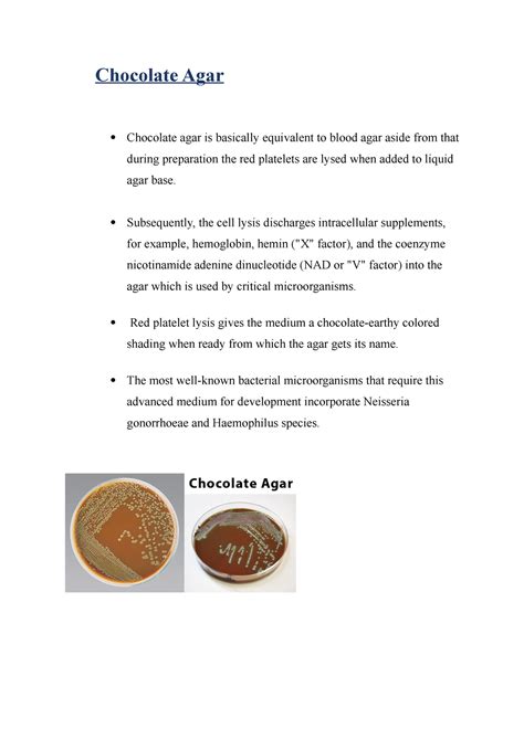 Chocolate Agar - useful lecture notes - Chocolate Agar Chocolate agar ...