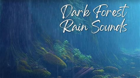 Dark Forest Rain Sounds for Relaxation and Deep Sleep - YouTube