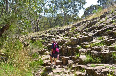 Organ Pipes National Park: Hiking, picnicking, wildlife & geology at ...