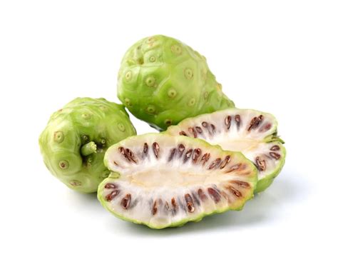 Vietnamese Dried Noni Fruit Powder For Sale With The Best Price - Buy Noni Powder,Dried Noni ...