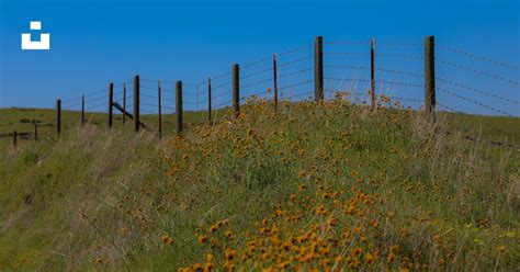 Brown wooden and barded wire fence photo – Free Ca-140 Image on Unsplash