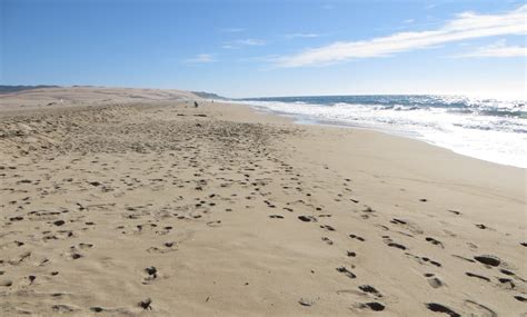 Rancho Guadalupe Dunes Preserve in Guadalupe, CA - California Beaches