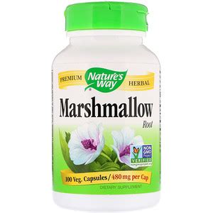 Marshmallow Root, 960 mg, 100 Vegan Capsules, Nature's Way - SuperFoodsNZ