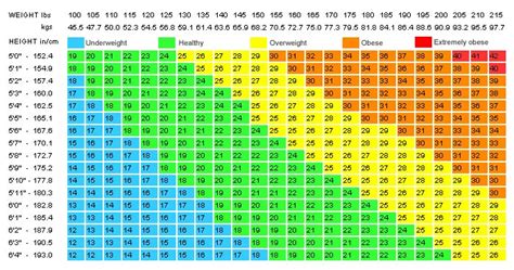 How Much Should You Weigh According To The Weight Loss Calculator