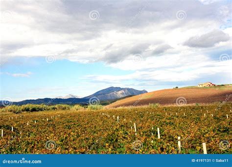 Italy, Autumn colors stock image. Image of growing, countryside - 4197131