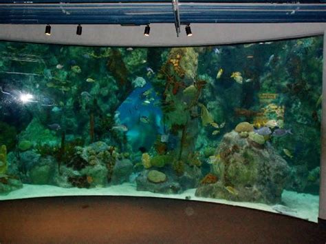 ABQ BioPark Aquarium (Albuquerque) - 2018 All You Need to Know Before You Go (with Photos ...