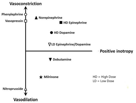 A Clinical Update on Vasoactive Medication in the Management of Cardiogenic Shock - Aditi ...