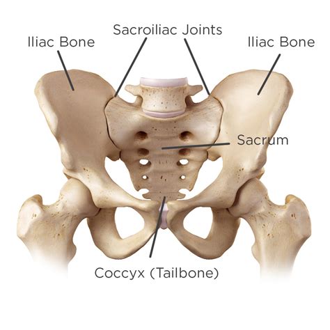 Suffering from SI Joint Pain? Know the Symptoms & Causes!