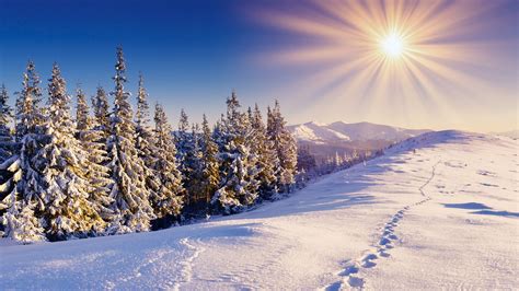 Desktop Backgrounds Hd Winter