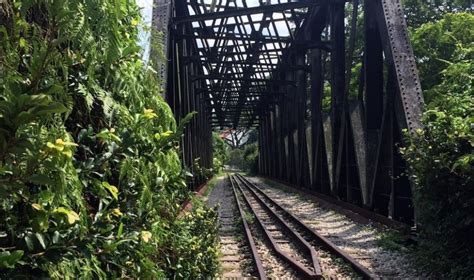 Bukit Timah rediscovered: a heritage trail of secrets and cool history