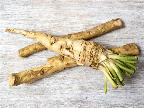 Harvesting Horseradish -- It's All About the Proper Timing