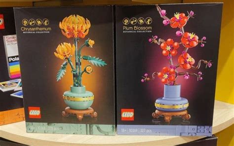 LEGO Botanicals 2024 Chrysanth & Plum Blossom: First look!