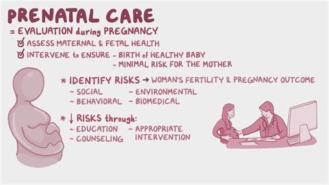 Routine prenatal care: Clinical: Video & Anatomy | Osmosis